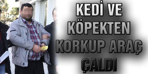 Kedi Ve Köpekten Korkup Araç Çaldı