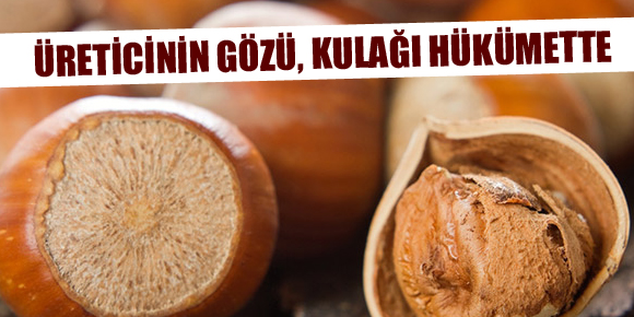 ÜRETİCİNİN GÖZÜ, KULAĞI HÜKUMETTE