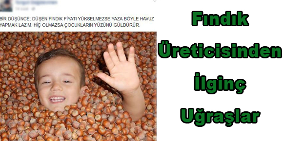 Fındık Üreticisinden İlginç Uğraşlar