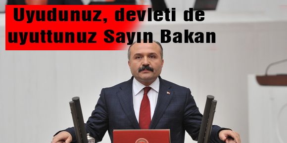 Uyudunuz, devleti de uyuttunuz Sayın Bakan