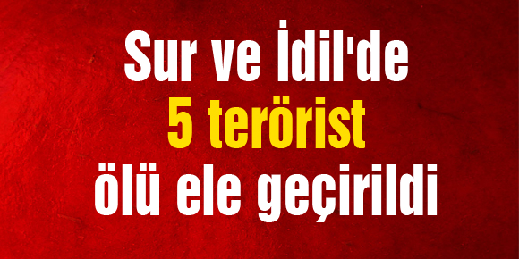 Sur ve İdilde 5 terörist ölü ele geçirildi