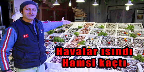 HAVALAR ISINDI HAMSİ KAÇTI