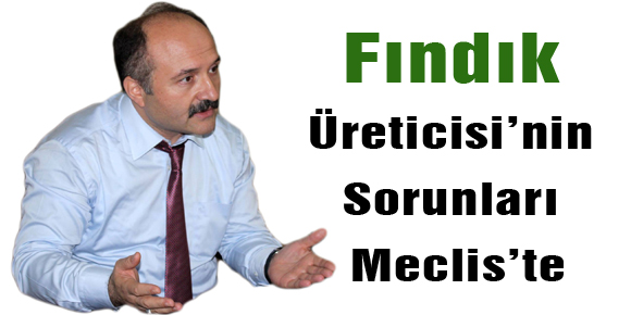 Fındık Üreticisi’nin Sorunları Meclis’te