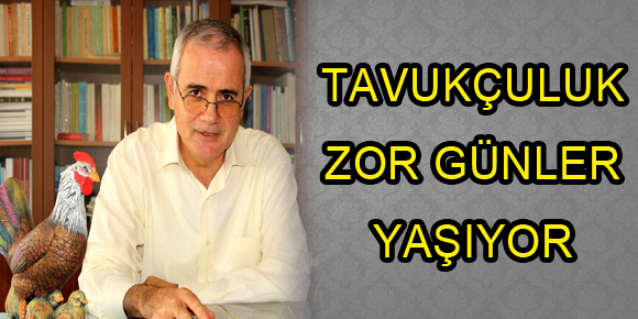 TAVUKÇULUK ZOR GÜNLER YAŞIYOR