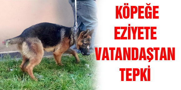 KÖPEĞE EZİYETE VATANDAŞTAN TEPKİ