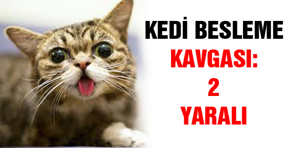 KEDİ BESLEME KAVGASI: 2 YARALI