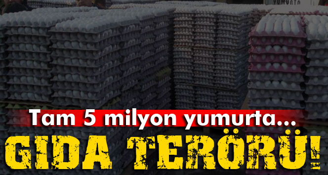 Tam 5 milyon adet bozuk yumurta ele geçirildi