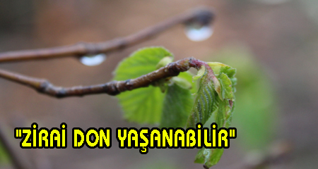 ZİRAİ DON YAŞANABİLİR