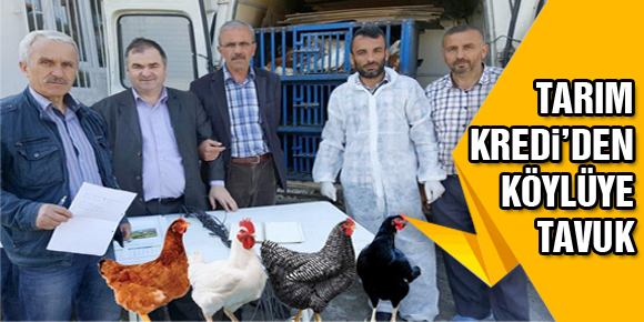 TARIM KREDİ’DEN KÖYLÜYE TAVUK