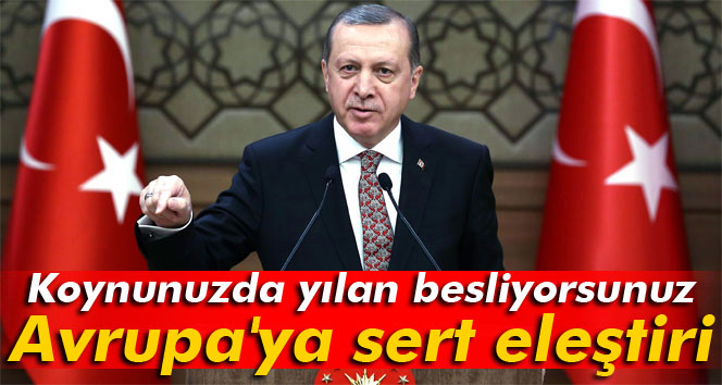 Erdoğandan Avrupaya sert eleştiri