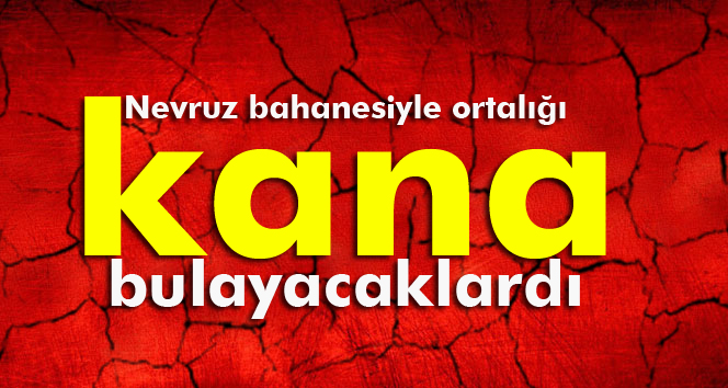 Nevruz bahanesiyle ortalığı kana bulayacaklardı