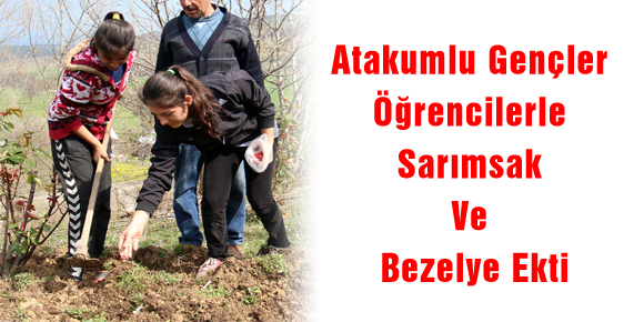 Atakumlu Gençler Öğrencilerle Sarımsak Ve Bezelye Ekti