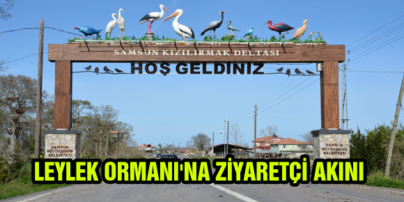 LEYLEK ORMANINA ZİYARETÇİ AKINI