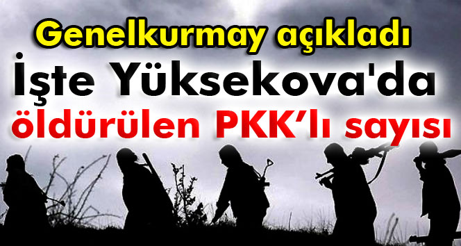 Yüksekova’da 177 PKK’lı öldürüldü