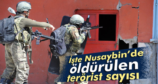 Nusaybinde toplam 286 terörist öldürüldü