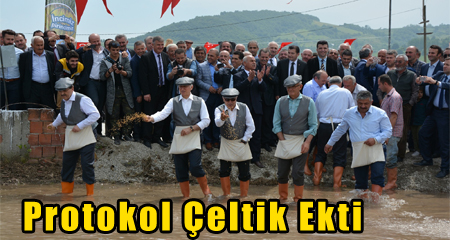 Protokol Çeltik Ekti