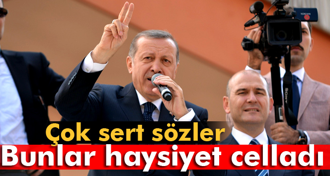 Erdoğan: Bunlar haysiyet celladıdır