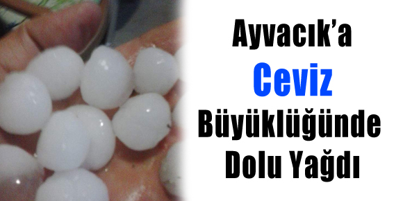 Ayvacık’a Ceviz Büyüklüğünde Dolu Yağdı