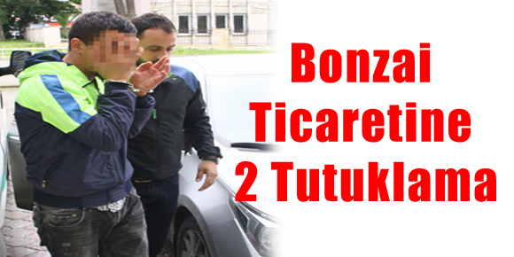 Bonzai Ticaretine 2 Tutuklama