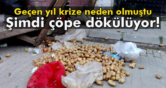 Pazarcılar satılmayan patatesleri çöpe dökmeye başladı