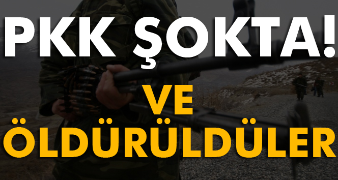 PKK’nın sözde bölge sorumluları öldürüldü