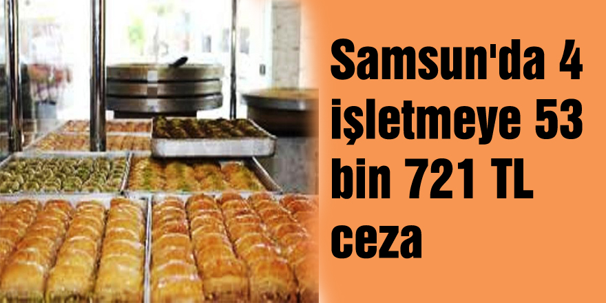 Samsun'da 4 işletmeye 53 bin 721 TL ceza