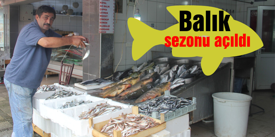 Balık sezonu açıldı, tezgahlar şenlendi