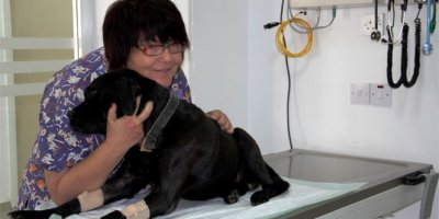 İlk Türk kadın veterinerlerin projesi dünyaya umut olacak