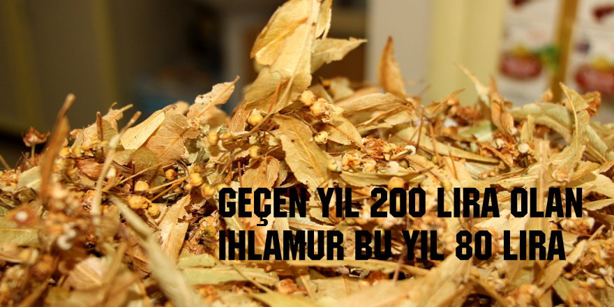 Geçen yıl 200 lira olan ıhlamur bu yıl 80 lira