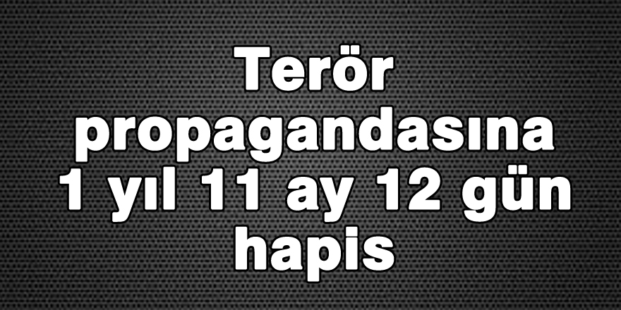 Terör propagandasına 1 yıl 11 ay 12 gün hapis