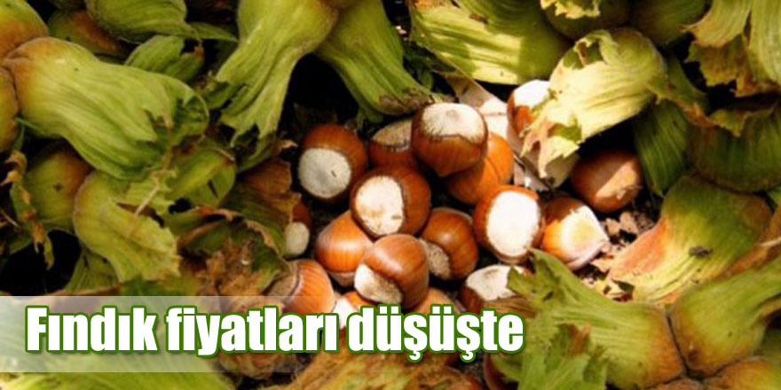 Fındık fiyatları düşüşte