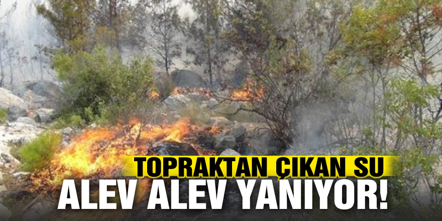 Terme de topraktan çıkan su alev alev yanıyor