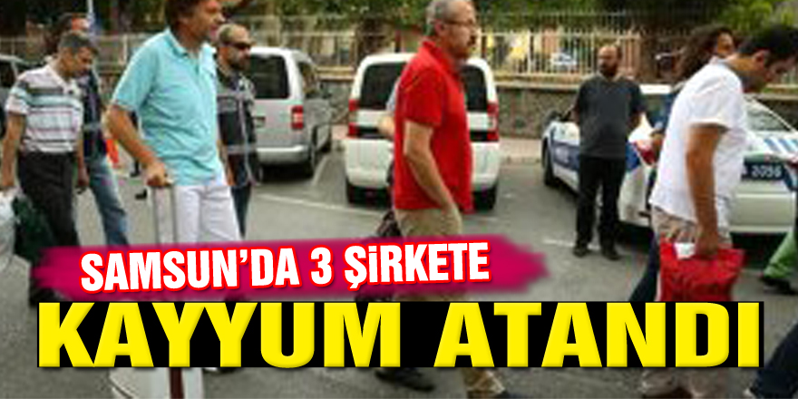 Tozlu AŞ, TMSF Bünyesine Geçti