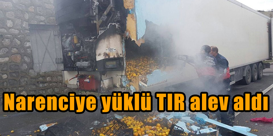 Narenciye yüklü TIR alev aldı