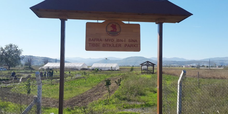 Bafra’ya Tıbbi Bitkiler Parkı