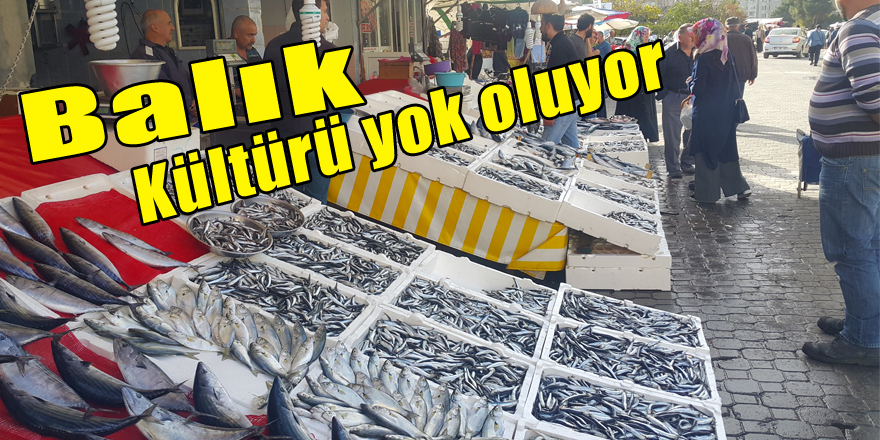 ‘Balık Kültürü yok oluyor’