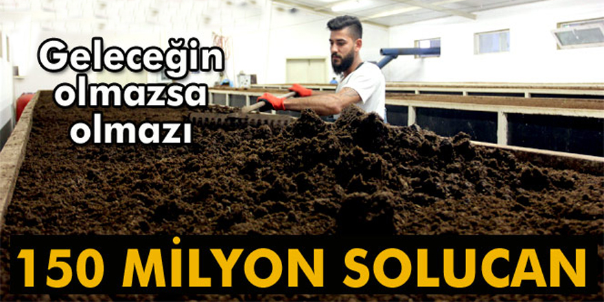 150 milyon solucanla, yılda 500 ton organik gübre üretiyor