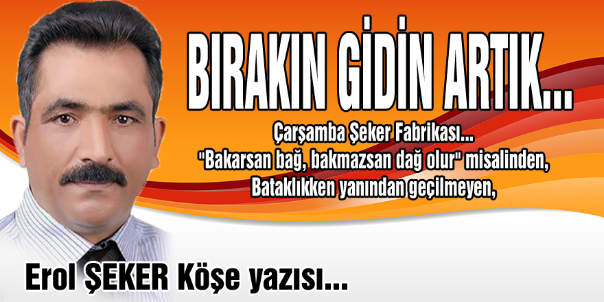 BIRAKIN GİDİN ARTIK...