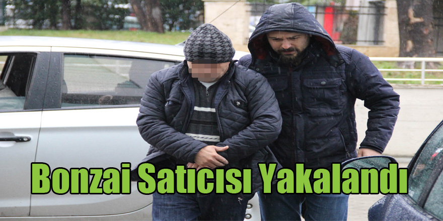 Bonzai satınca polis tarafından yakalandı