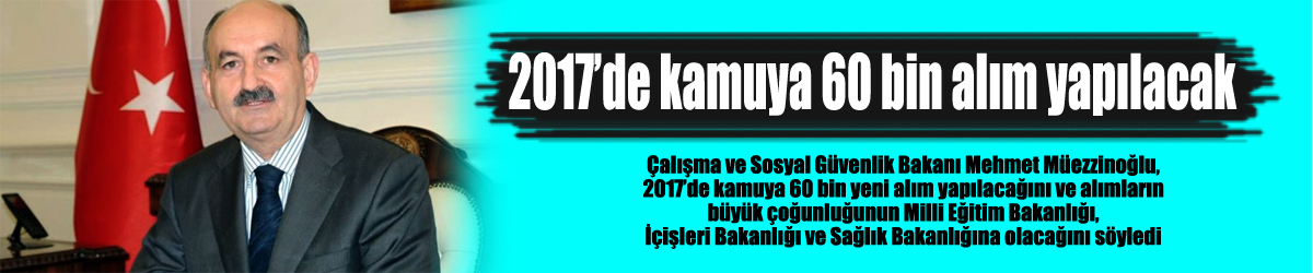 2017’de kamuya 60 bin alım yapılacak