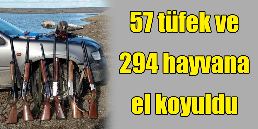 Samsun’da 57 tüfek ve 294 hayvana el koyuldu 