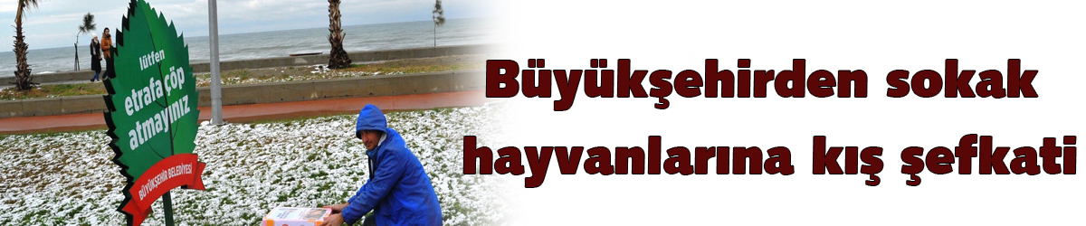 Büyükşehirden sokak hayvanlarına kış şefkati