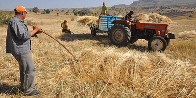 Çiftçilere TARSİM’den 8 milyon 929 bin TL devlet prim desteği