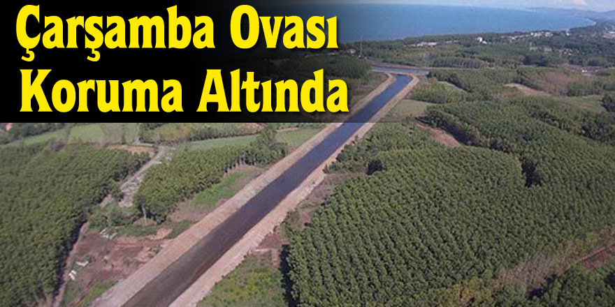 Çarşamba Ovası Koruma Altında