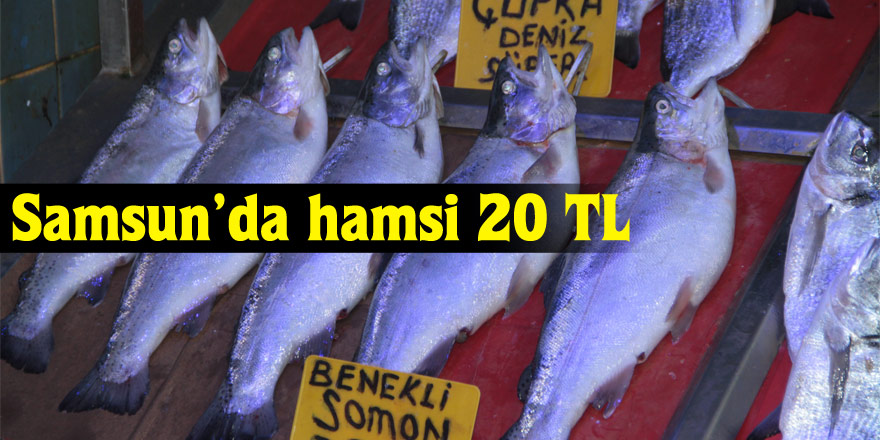 Samsun’da hamsi 20 TL