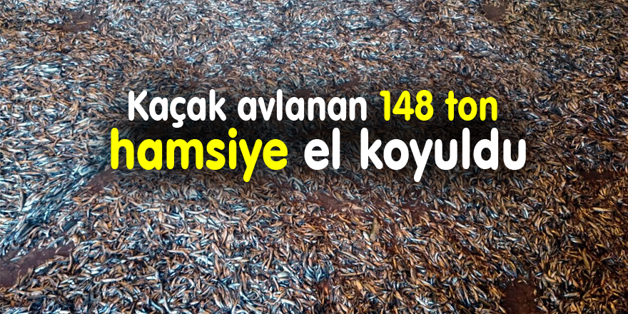 Kaçak avlanan 148 ton hamsiye el koyuldu