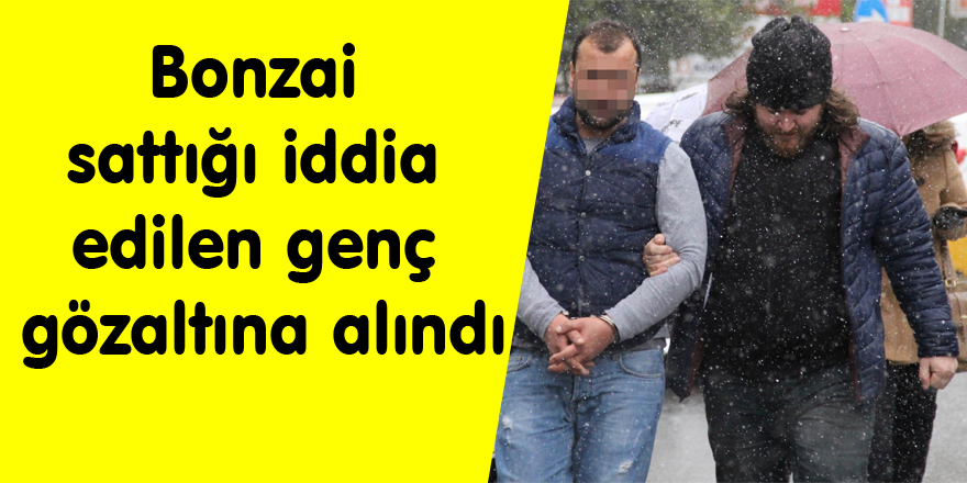 Bonzai sattığı iddia edilen genç gözaltına alındı