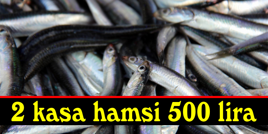 2 kasa hamsi 500 lira