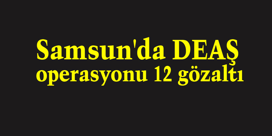 Samsun'da DEAŞ operasyonu: 12 gözaltı