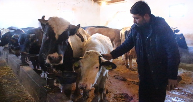 Tartışmaların yaşandığı süt sektöründe üretici isyanda